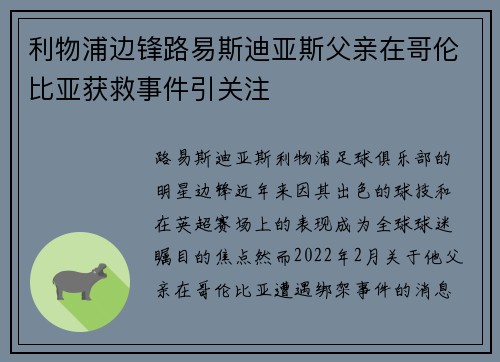 利物浦边锋路易斯迪亚斯父亲在哥伦比亚获救事件引关注